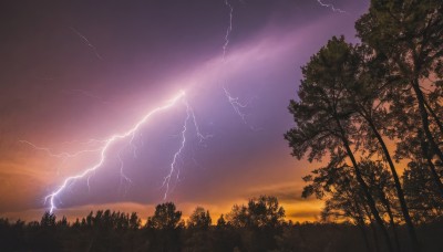 outdoors,sky,cloud,tree,no humans,cloudy sky,nature,scenery,forest,sunset,electricity,lightning,twilight,landscape