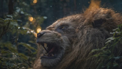 outdoors, blurry, tree, no humans, night, depth of field, animal, nature, lantern, realistic, animal focus