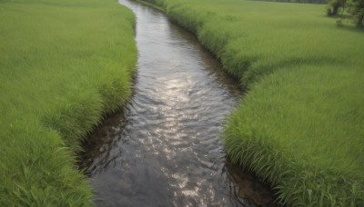 outdoors,day,water,tree,no humans,shadow,sunlight,grass,nature,scenery,road,river,path,reflection,puddle