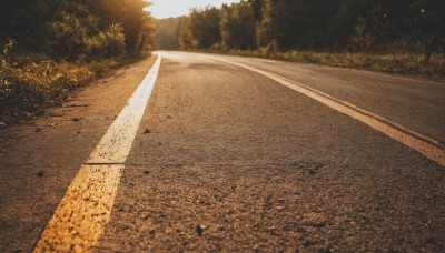 outdoors,sky,day,signature,blurry,tree,no humans,sunlight,grass,nature,scenery,forest,road,bush,photo background,cloud,sunset,realistic,street,path