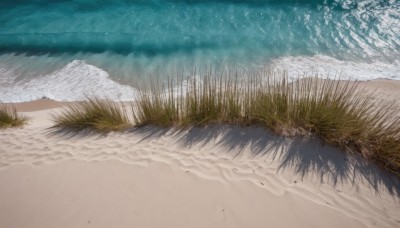 outdoors,sky,day,water,tree,no humans,night,ocean,beach,grass,nature,scenery,sand,waves,shore,cloud