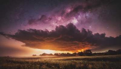 outdoors,sky,cloud,tree,no humans,night,cloudy sky,grass,star (sky),nature,night sky,scenery,starry sky,sunset,field,twilight,evening,landscape,gradient sky,hill,milky way