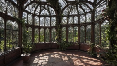 flower,outdoors,day,indoors,tree,dutch angle,no humans,window,shadow,sunlight,grass,plant,nature,scenery,light rays,stairs,potted plant,vines,pillar,arch,book,leaf,chair,table,architecture