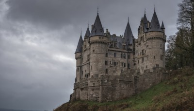 outdoors,sky,day,cloud,tree,no humans,cloudy sky,grass,building,nature,scenery,bare tree,castle,tower,fog,grey sky,forest,fantasy,landscape,path,overcast