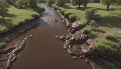 outdoors,day,water,tree,no humans,grass,nature,scenery,forest,rock,road,bush,river,path,stream,plant,landscape,puddle