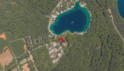 solo,flower,outdoors,sky,tree,no humans,from above,red flower,building,scenery,road,landscape,day,water,ocean,ground vehicle,nature,motor vehicle,map,overgrown