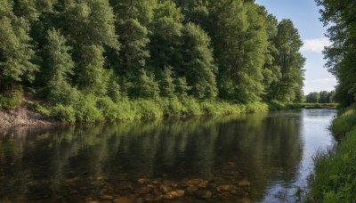 outdoors,sky,day,cloud,water,tree,blue sky,no humans,grass,nature,scenery,forest,reflection,bush,river,landscape,lake,reflective water,cloudy sky