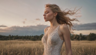 1girl,solo,long hair,breasts,brown hair,dress,bare shoulders,collarbone,closed eyes,upper body,small breasts,outdoors,parted lips,sky,sleeveless,day,cloud,white dress,blurry,lips,floating hair,depth of field,blurry background,grass,wind,mountain,realistic,nose,field,hill,blonde hair,medium breasts,tree