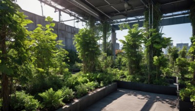 outdoors,sky,day,tree,no humans,window,shadow,sunlight,plant,building,scenery,bench,ruins,overgrown,artist name,signature,blue sky,leaf,bush,power lines