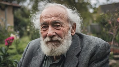 solo,looking at viewer,shirt,1boy,jacket,upper body,flower,white hair,male focus,outdoors,collared shirt,blurry,blurry background,facial hair,formal,suit,beard,realistic,grey jacket,mustache,manly,old,old man,garden,wrinkled skin,closed mouth,white shirt,necktie,day,black eyes,black jacket,grey eyes,black shirt,depth of field,wing collar,portrait,black necktie