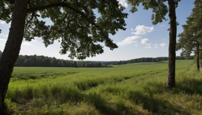 outdoors,sky,day,cloud,tree,blue sky,no humans,cloudy sky,grass,nature,scenery,forest,mountain,field,landscape,hill