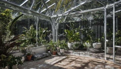 outdoors,day,indoors,tree,no humans,window,leaf,sunlight,plant,scenery,potted plant,flower pot