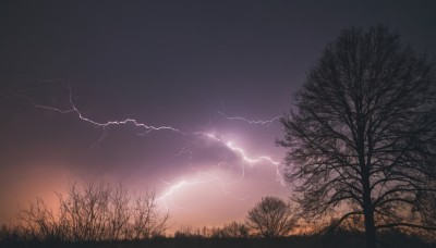 outdoors,sky,cloud,tree,no humans,cloudy sky,grass,nature,scenery,forest,sunset,electricity,bare tree,lightning,purple sky,monochrome,dark,gradient sky