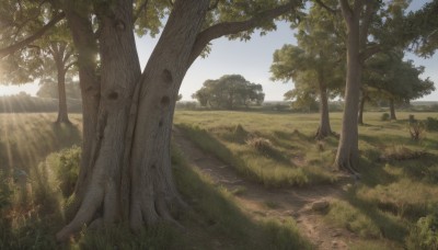 outdoors,sky,day,tree,blue sky,no humans,sunlight,grass,plant,nature,scenery,forest,light rays,rock,road,bush,landscape,path,flower,cloud