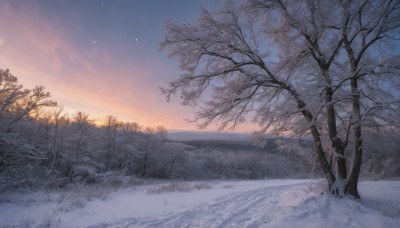 outdoors,sky,cloud,tree,no humans,grass,star (sky),nature,scenery,snow,forest,starry sky,sunset,winter,bare tree,twilight,evening,gradient sky,sunrise,blue sky,plant,horizon,landscape