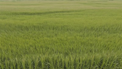 outdoors,sky,day,no humans,traditional media,grass,nature,scenery,field,plant,green theme