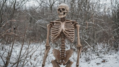 solo,outdoors,tree,no humans,nature,scenery,snow,forest,skull,snowing,winter,ribs,skeleton,bare tree,bone,standing,signature,robot,horror (theme)