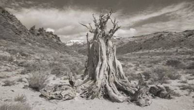 monochrome,greyscale,outdoors,sky,cloud,tree,no humans,traditional media,cloudy sky,grass,scenery,rock,mountain,antlers,landscape,cliff