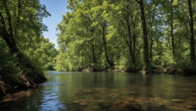 outdoors,sky,day,cloud,water,tree,blue sky,no humans,sunlight,grass,nature,scenery,forest,reflection,river,reflective water,plant,landscape,lake