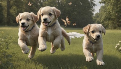 open mouth,tail,outdoors,day,tongue,tongue out,necklace,collar,tree,no humans,animal,grass,bug,butterfly,nature,scenery,forest,running,dog,realistic,animal focus,looking at viewer,jewelry,sky,fangs,animal collar