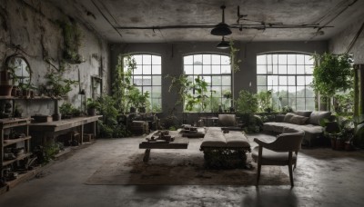 day,indoors,tree,no humans,window,chair,table,sunlight,plant,ground vehicle,scenery,couch,motor vehicle,clock,potted plant,lamp,ruins,overgrown,pillow,book,bed,desk,wooden floor,wall,ceiling,carpet,ceiling light