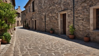 outdoors,sky,day,tree,blue sky,no humans,window,shadow,plant,building,scenery,stairs,door,potted plant,road,bush,wall,house,brick wall,street,flower pot,path,pavement,cloud,lamppost,town,stone floor,brick floor