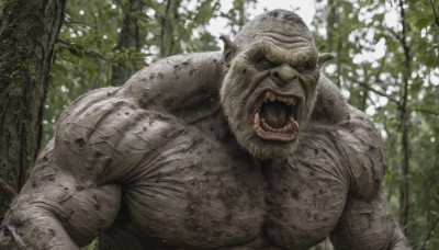 solo,open mouth,1boy,upper body,flower,male focus,outdoors,horns,teeth,tongue,blurry,tree,no humans,muscular,fangs,sharp teeth,nature,forest,monster,realistic,day,signature,blurry background,colored skin,veins,topless male,orc,tusks