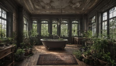 day,indoors,water,tree,no humans,window,chair,table,sunlight,plant,scenery,wooden floor,potted plant,vines,overgrown,chandelier