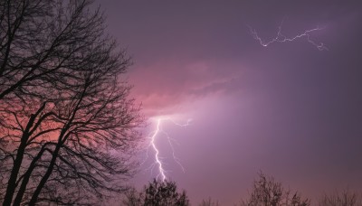 outdoors,sky,cloud,tree,no humans,cloudy sky,grass,nature,scenery,forest,electricity,purple theme,bare tree,lightning,purple sky,monochrome,sunset,twilight,gradient sky,pink sky