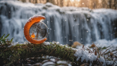 1girl, solo, outdoors, water, blurry, tree, depth of field, blurry background, animal, nature, scenery, snow, waterfall