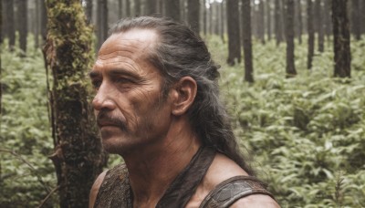 solo,long hair,black hair,1boy,closed mouth,closed eyes,upper body,grey hair,male focus,outdoors,armor,blurry,from side,tree,profile,blurry background,facial hair,plant,portrait,nature,beard,forest,realistic,mustache,old,old man,day,scar,manly