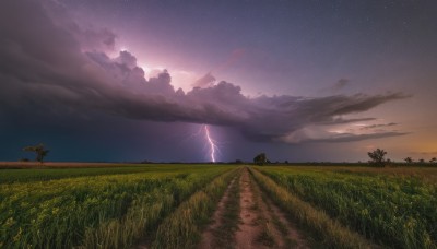 outdoors,sky,cloud,tree,no humans,night,cloudy sky,grass,star (sky),nature,night sky,scenery,starry sky,sunset,electricity,field,twilight,lightning,landscape,purple sky,hill