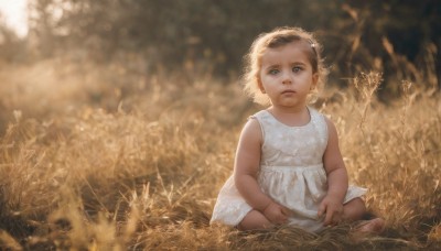 1girl,solo,looking at viewer,short hair,blue eyes,blonde hair,dress,sitting,outdoors,barefoot,sleeveless,white dress,blurry,lips,sleeveless dress,grass,child,nature,realistic,female child,indian style,brown hair,parted lips,field,fine art parody,wheat