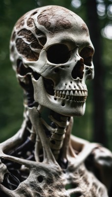 solo,1boy,upper body,male focus,blurry,no humans,depth of field,blurry background,portrait,1other,skull,realistic,ribs,skeleton,bone,teeth,horror (theme)