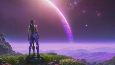 1girl,solo,long hair,brown hair,1boy,standing,ponytail,flower,male focus,boots,outdoors,sky,from behind,bodysuit,night,grass,star (sky),night sky,scenery,starry sky,rock,mountain,space,planet,black hair,tree,looking up,wide shot,blue bodysuit