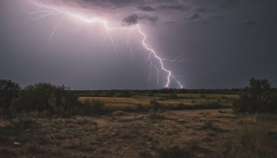 outdoors,sky,cloud,tree,no humans,cloudy sky,grass,nature,scenery,forest,electricity,road,lightning,landscape,path,night,horizon,dark,field