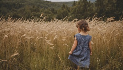 1girl,solo,short hair,brown hair,dress,standing,short sleeves,outdoors,day,from behind,blurry,tree,depth of field,blurry background,blue dress,grass,child,nature,scenery,skirt hold,female child,facing away,field,braid,sky,signature