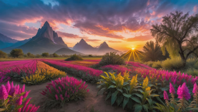 flower, outdoors, sky, cloud, tree, no humans, cloudy sky, grass, nature, scenery, sunset, mountain, sun, road, field, landscape, mountainous horizon