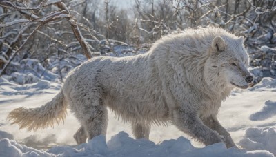 outdoors,day,tree,no humans,animal,nature,scenery,snow,forest,snowing,realistic,animal focus,winter,bare tree,solo,signature,mountain,branch