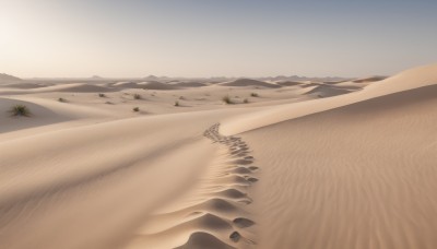 outdoors,sky,day,water,tree,no humans,beach,scenery,mountain,sand,horizon,landscape,desert,footprints