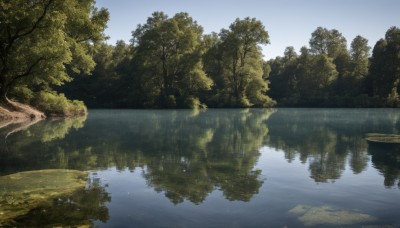 outdoors,sky,day,water,tree,blue sky,no humans,nature,scenery,tentacles,forest,reflection,river,lake,reflective water,cloud,landscape