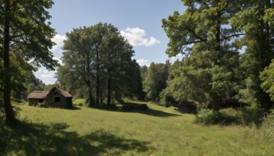 outdoors,sky,day,cloud,tree,blue sky,no humans,shadow,cloudy sky,grass,building,nature,scenery,forest,bush,house,path,landscape