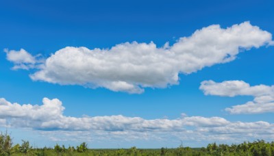 outdoors,sky,day,cloud,tree,blue sky,no humans,cloudy sky,grass,plant,nature,scenery,forest,field