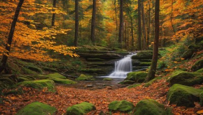 outdoors,day,water,tree,no humans,leaf,nature,scenery,forest,rock,autumn leaves,river,autumn,waterfall,stream,sunlight,landscape