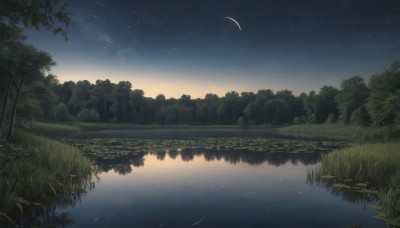 outdoors,sky,cloud,water,tree,no humans,night,moon,grass,plant,star (sky),nature,night sky,scenery,forest,starry sky,reflection,crescent moon,river,lake,reflective water,shooting star