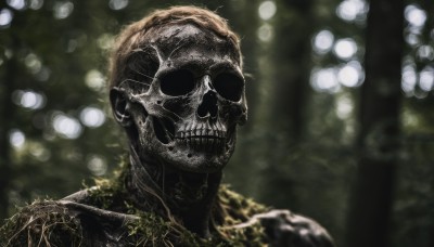 solo,brown hair,1boy,male focus,outdoors,blurry,no humans,depth of field,blurry background,plant,portrait,skull,realistic,skeleton,jewelry,teeth,sunglasses,nature,bokeh