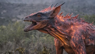 solo,open mouth,red eyes,outdoors,horns,teeth,blurry,from side,tree,no humans,blurry background,fangs,sharp teeth,nature,monster,realistic,dragon,scales,dinosaur,sky,tongue,cloud,cloudy sky,spikes,forest