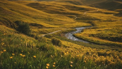 flower,outdoors,sky,day,cloud,water,tree,no humans,traditional media,grass,nature,scenery,mountain,road,field,landscape,from above,yellow theme