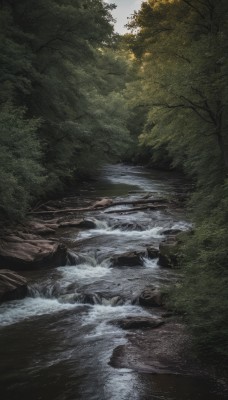 outdoors,day,water,tree,no humans,sunlight,nature,scenery,forest,rock,river,lake,stream,sky,cloud,landscape