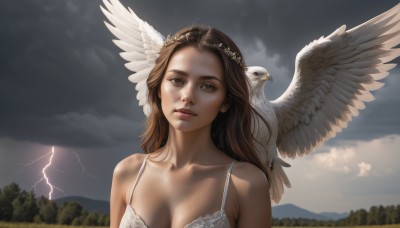 1girl,solo,long hair,breasts,looking at viewer,brown hair,cleavage,bare shoulders,brown eyes,medium breasts,underwear,collarbone,upper body,outdoors,parted lips,wings,sky,cloud,bra,blurry,tree,lips,bird,animal,lingerie,cloudy sky,nature,feathered wings,white bra,mountain,realistic,nose,head wreath,lightning,animal on shoulder,bird on shoulder,hair ornament,day,sunlight,scenery